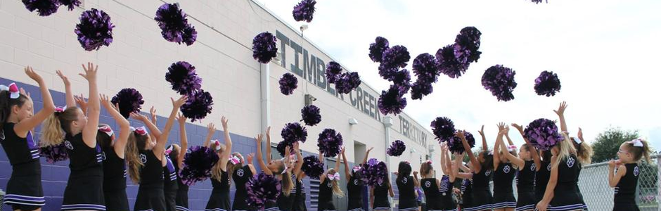 cheer_pom940x300.png